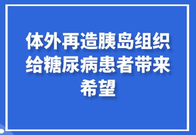 海内外专家聚焦胰岛移植 体外再造胰岛组织给糖尿病患者带来希望_华良控糖生活记